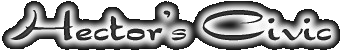 picture11.gif